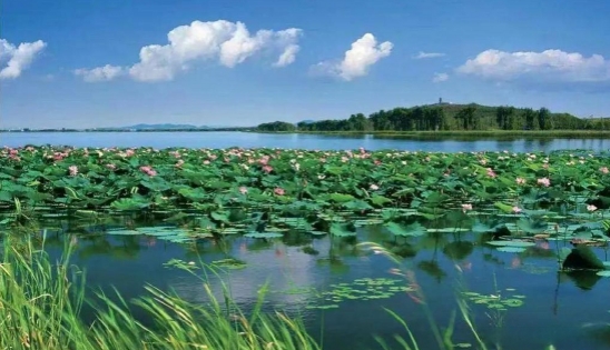 關(guān)于全面推進(jìn)美麗遼寧建設(shè)的實施意見（征求意見稿）發(fā)布！